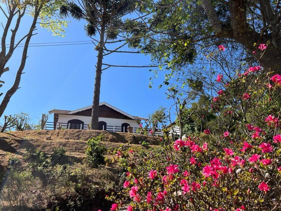 Casa Da Vovo Em Campos Do Jordao Villa Exteriör bild